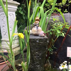 Ein Froschkönig im verwunschenen Hofe.