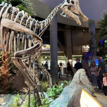 The Children's Museum - Dinosaur exhibit - Children's Museums Near Me - Indianapolis, Indiana The Children's Museum - Dinosaur exhibit - Children's Museums Near Me - Indianapolis, Indiana
