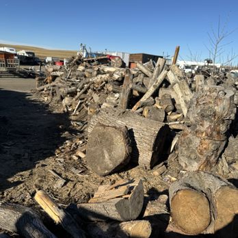 Ocean Tree Care - Tree Services Near Me - Calgary, Alberta Ocean Tree Care - Tree Services Near Me - Calgary, Alberta