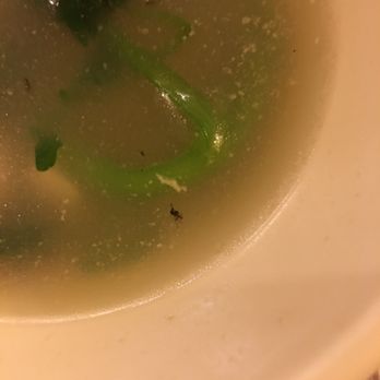 Triple Crown Restaurant - I found an unknown insect in my dish and they say it is normal. Definitely will never come again!! - Dim Sum Near Me - Chicago, Illinois Triple Crown Restaurant - I found an unknown insect in my dish and they say it is normal. Definitely will never come again!! - Dim Sum Near Me - Chicago, Illinois