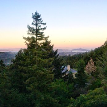 Mountain Home Inn - Sunset view from the outdoor dining deck. Still spectacular after all these years! - Bed & Breakfast Near Me - Mill Valley, California