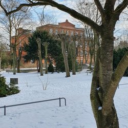 Wohlers Park