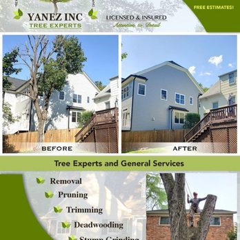 Yanez Tree Service Experts - Tree Services Near Me - Rockville, Maryland Yanez Tree Service Experts - Tree Services Near Me - Rockville, Maryland