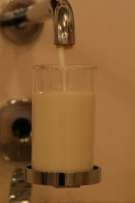 Dresdner Molkerei Gebrüder Pfund GmbH by null