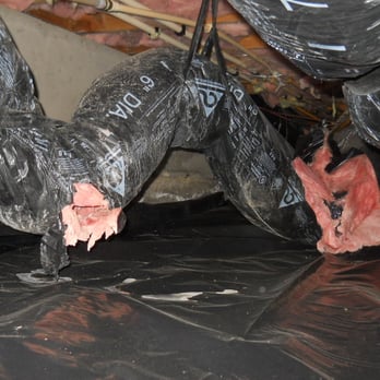 The Home Detective - An all-access pass for rodents to travel throughout the house. - Home Inspectors Near Me - Renton, Washington The Home Detective - An all-access pass for rodents to travel throughout the house. - Home Inspectors Near Me - Renton, Washington