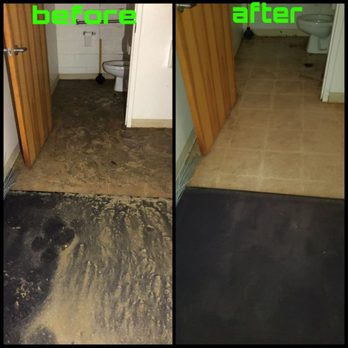 Filthy 2 Clean Steam Team - Carpet Cleaning Near Me Filthy 2 Clean Steam Team - Carpet Cleaning Near Me