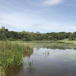 This swampy marsh was pretty neat.