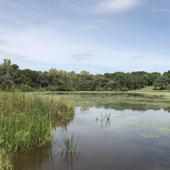 Deer Grove West - This swampy marsh was pretty neat. - Parks Near Me - Palatine, Illinois