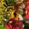 Naomi's Flowers & Boutique gift card