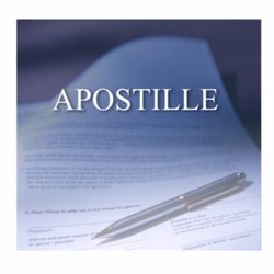 Top Notch Notary
