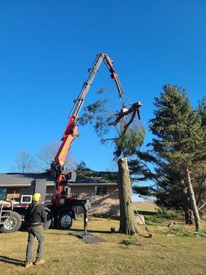 Knuckle Boom Crane - Out Knuckle Boom Crane allows us to remove your trees without ever damaging your property. Call today for your Free Estimate Knuckle Boom Crane - Out Knuckle Boom Crane allows us to remove your trees without ever damaging your property. Call today for your Free Estimate