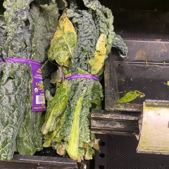 ACME Markets - Rotting kale - Grocery Near Me - Philadelphia, Pennsylvania ACME Markets - Rotting kale - Grocery Near Me - Philadelphia, Pennsylvania
