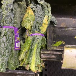 ACME Markets - Rotting kale