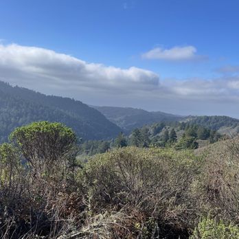 Purisima Creek Trail - Hiking Near Me - Half Moon Bay, California Purisima Creek Trail - Hiking Near Me - Half Moon Bay, California