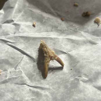 Olympic Pizza & Grill - Bone found in chicken Dijon wrap. - Pizza Near Me - Weymouth Town, Massachusetts Olympic Pizza & Grill - Bone found in chicken Dijon wrap. - Pizza Near Me - Weymouth Town, Massachusetts