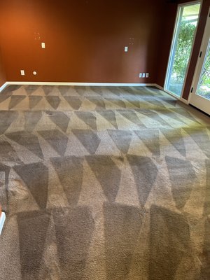 Residential Carpet cleaning - Family Room Cleaning
This family room had some stains and a significant amount of dirt. However, we successfully removed all the dirt and stains, leaving the room fresh and clean with a pleasant scent. Residential Carpet cleaning - Family Room Cleaning
This family room had some stains and a significant amount of dirt. However, we successfully removed all the dirt and stains, leaving the room fresh and clean with a pleasant scent.