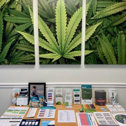 DocMJ - DocMJ Tampa