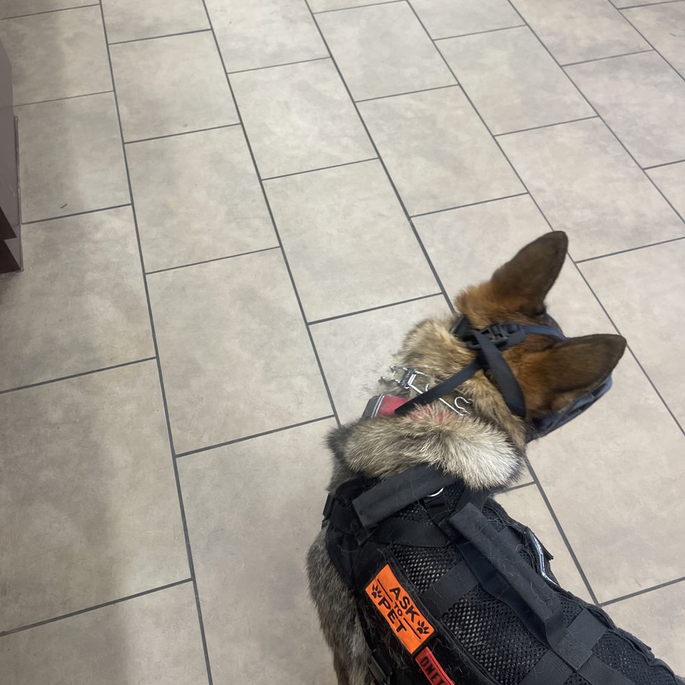 K9 approved K9 approved