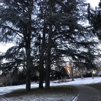 Stadtpark - Parks Near Me - Mainz, RP