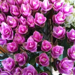 BlumenLaden