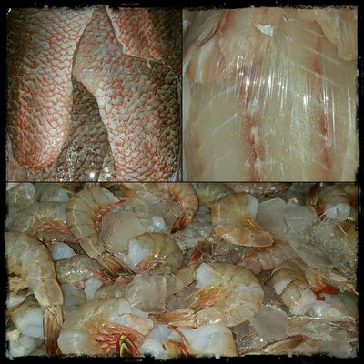 Shrimp City - Seafood & Bait by null