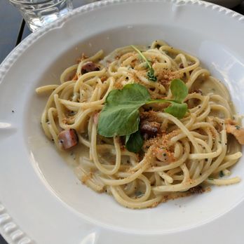 The Salt Line - Uni Carbonara - Seafood Near Me - Washington, DC, District of Columbia The Salt Line - Uni Carbonara - Seafood Near Me - Washington, DC, District of Columbia