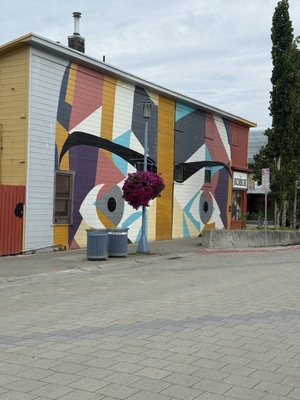 The Kobuk by null