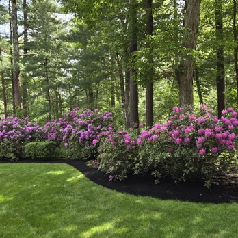 Clear Cut Landscaping - Gardeners Near Me - Hanson, Massachusetts Clear Cut Landscaping - Gardeners Near Me - Hanson, Massachusetts