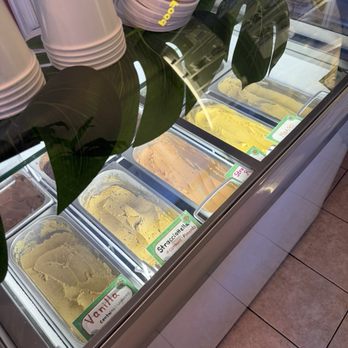 Coco Lov - Ice cream - Ice Cream & Frozen Yogurt Near Me - Tampa, Florida