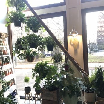River Garden Studio - Lots of plants creatively displayed throughout the sunny space. - Florists Near Me - Albany, New York