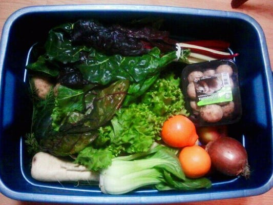 New Roots Organics by null