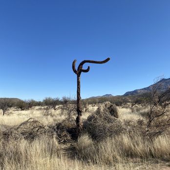 Catalina State Park - Parks Near Me - Tucson, Arizona Catalina State Park - Parks Near Me - Tucson, Arizona