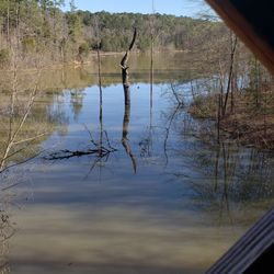 Black Shoals Lake