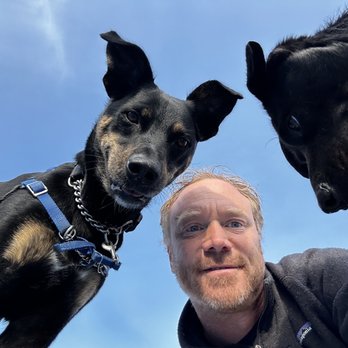 Adopt A Doggie - Pet Adoption Near Me Adopt A Doggie - Pet Adoption Near Me