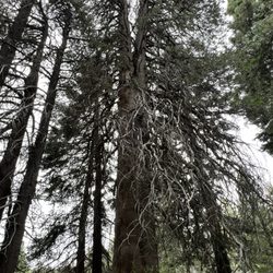 Bluff Lake Reserve