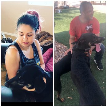 Veterinary Emergency Group - Emergency Pet Hospital Near Me - Phoenix, Arizona Veterinary Emergency Group - Emergency Pet Hospital Near Me - Phoenix, Arizona