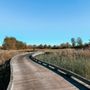 Harbor Shores