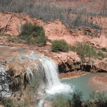 Havasu Falls - near Navajo Falls - Hiking Near Me Havasu Falls - near Navajo Falls - Hiking Near Me