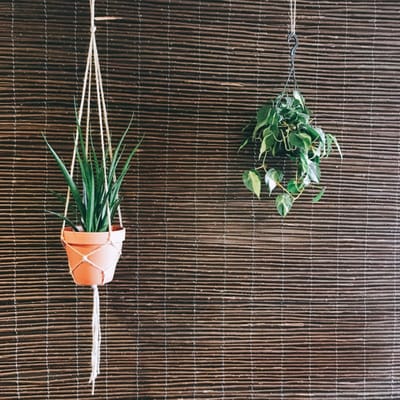 Photo of Nest - Amsterdam, NH, NL.