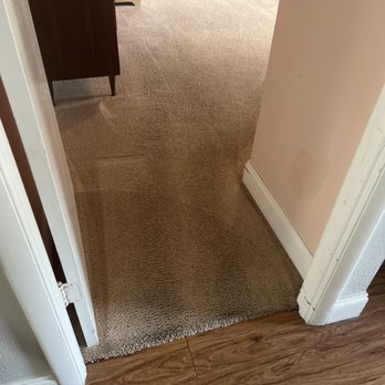 Zebedee Group - Carpet Cleaning Near Me - Coral Springs, Florida Zebedee Group - Carpet Cleaning Near Me - Coral Springs, Florida