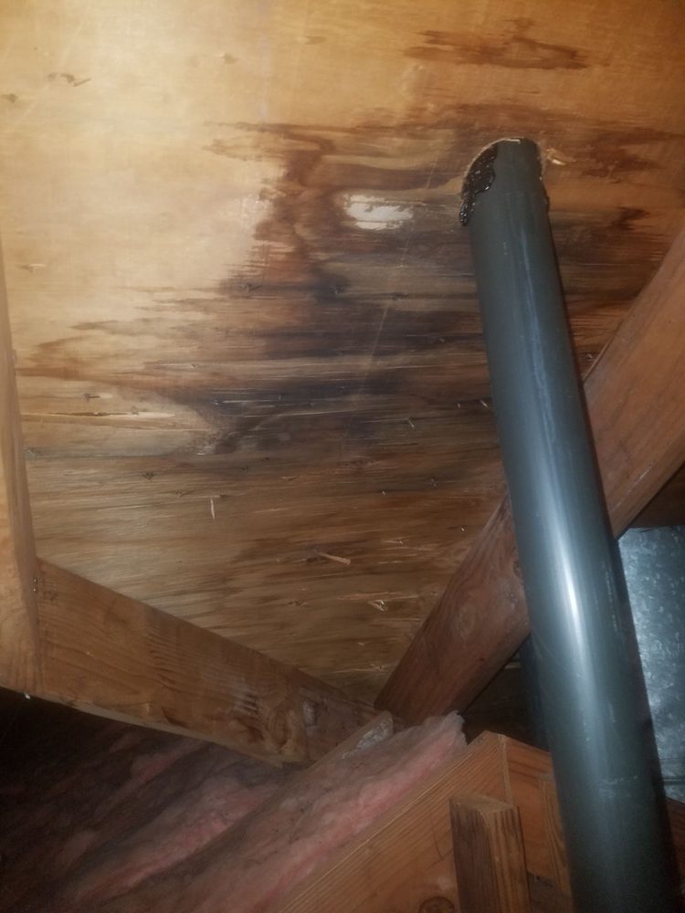 Slide of Progress Repair