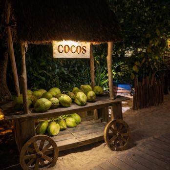 Lido - Coconut Cart for the Coco Locos! - Seafood Near Me - Playa del Carmen, ROO