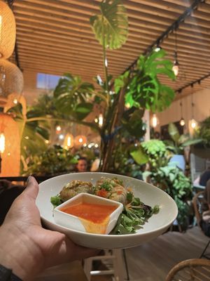 Coco Thai Bistro by null