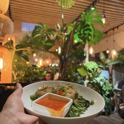 Coco Thai Bistro - Steamed dumplings