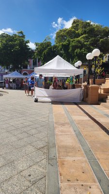 Plaza Colón by null