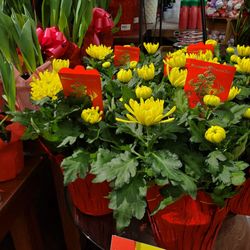Smith's Food & Drug Centers - Happy Lunar New Year :)