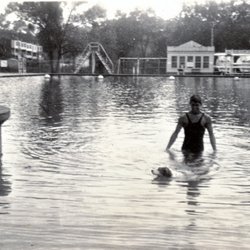 Coppermine Meadowbrook Club - View from the 1930's AFTER pool was closed for season, hence the dog allowed in the water.