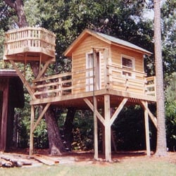 Go Out And Play - Tree House greensboro