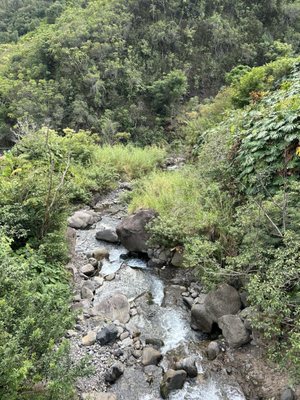ʻĪao Valley State Monument by null