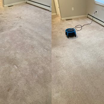 Green Husky Carpet Cleaning - Old carpets with pet stains and foot traffic wear before and after photos. - Carpet Cleaning Near Me